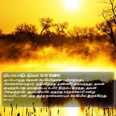 நியாயாதிபதிகள் 15:19 TAMIRV Bible Verse Image