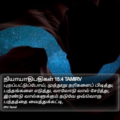 நியாயாதிபதிகள் 15:4 TAMIRV Bible Verse Image