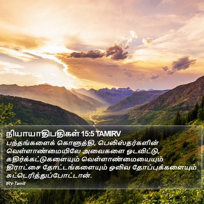 நியாயாதிபதிகள் 15:5 TAMIRV Bible Verse Image
