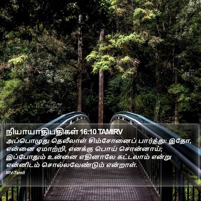 நியாயாதிபதிகள் 16:10 TAMIRV Bible Verse Image