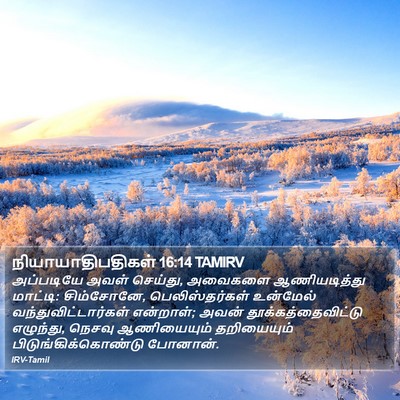 நியாயாதிபதிகள் 16:14 TAMIRV Bible Verse Image