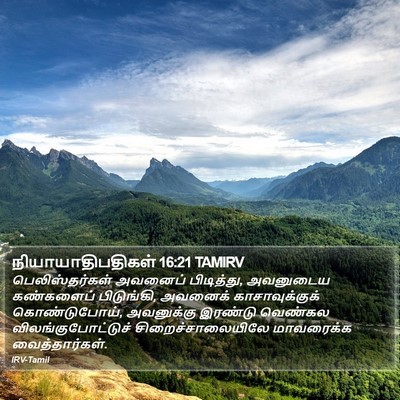 நியாயாதிபதிகள் 16:21 TAMIRV Bible Verse Image