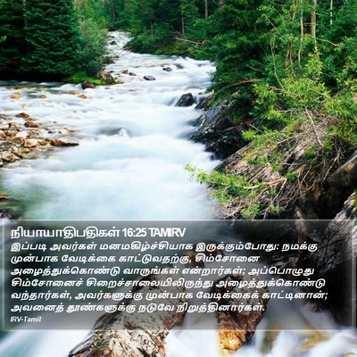 நியாயாதிபதிகள் 16:25 TAMIRV Bible Verse Image
