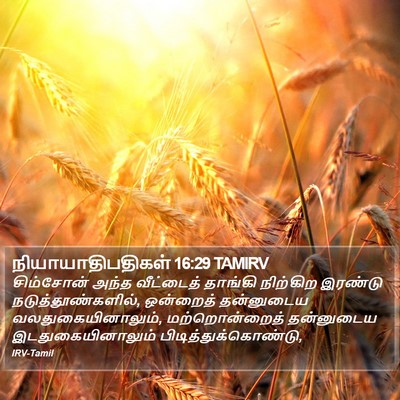 நியாயாதிபதிகள் 16:29 TAMIRV Bible Verse Image