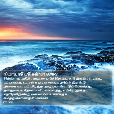 நியாயாதிபதிகள் 16:3 TAMIRV Bible Verse Image