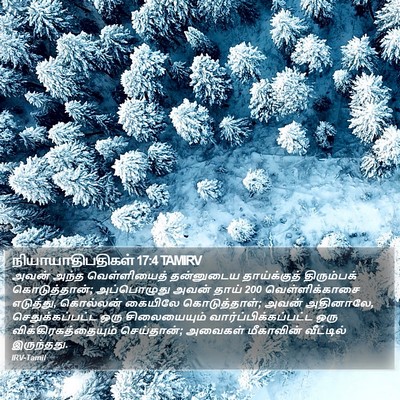 நியாயாதிபதிகள் 17:4 TAMIRV Bible Verse Image