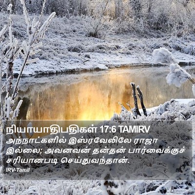 நியாயாதிபதிகள் 17:6 TAMIRV Bible Verse Image