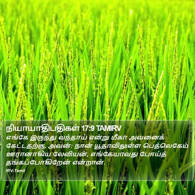 நியாயாதிபதிகள் 17:9 TAMIRV Bible Verse Image