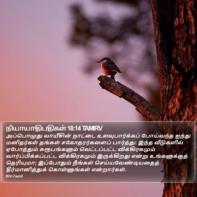 நியாயாதிபதிகள் 18:14 TAMIRV Bible Verse Image