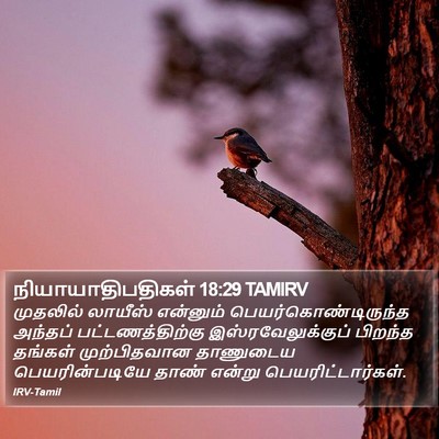 நியாயாதிபதிகள் 18:29 TAMIRV Bible Verse Image