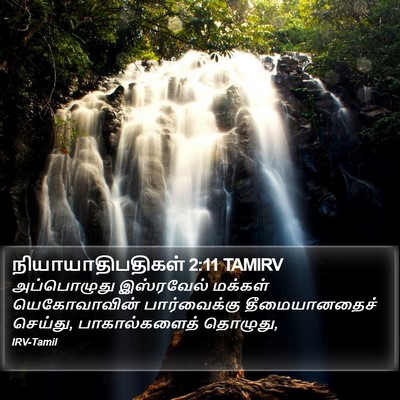 நியாயாதிபதிகள் 2:11 TAMIRV Bible Verse Image