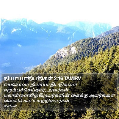 நியாயாதிபதிகள் 2:16 TAMIRV Bible Verse Image