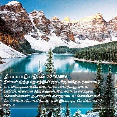 நியாயாதிபதிகள் 2:2 TAMIRV Bible Verse Image