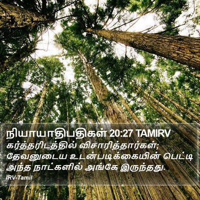 நியாயாதிபதிகள் 20:27 TAMIRV Bible Verse Image