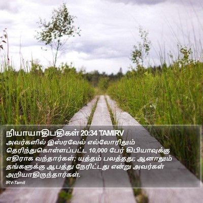 நியாயாதிபதிகள் 20:34 TAMIRV Bible Verse Image