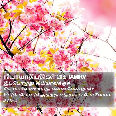 நியாயாதிபதிகள் 20:9 TAMIRV Bible Verse Image