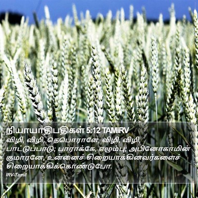நியாயாதிபதிகள் 5:12 TAMIRV Bible Verse Image