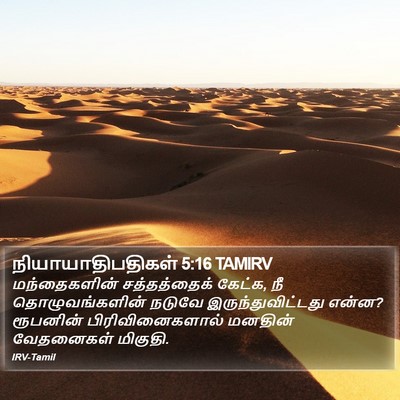 நியாயாதிபதிகள் 5:16 TAMIRV Bible Verse Image