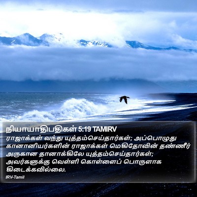 நியாயாதிபதிகள் 5:19 TAMIRV Bible Verse Image