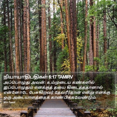 நியாயாதிபதிகள் 6:17 TAMIRV Bible Verse Image