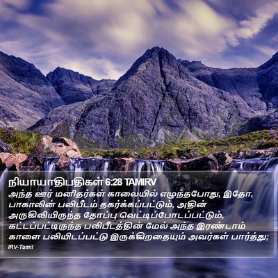 நியாயாதிபதிகள் 6:28 TAMIRV Bible Verse Image