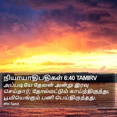 நியாயாதிபதிகள் 6:40 TAMIRV Bible Verse Image