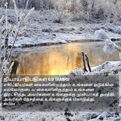 நியாயாதிபதிகள் 6:9 TAMIRV Bible Verse Image