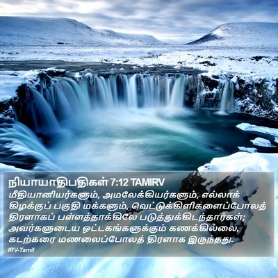 நியாயாதிபதிகள் 7:12 TAMIRV Bible Verse Image