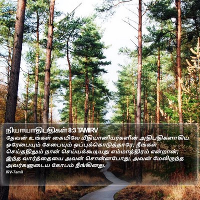 நியாயாதிபதிகள் 8:3 TAMIRV Bible Verse Image