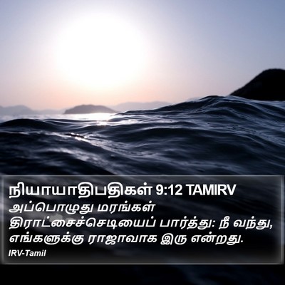 நியாயாதிபதிகள் 9:12 TAMIRV Bible Verse Image