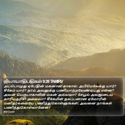நியாயாதிபதிகள் 9:28 TAMIRV Bible Verse Image
