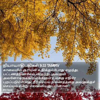 நியாயாதிபதிகள் 9:33 TAMIRV Bible Verse Image