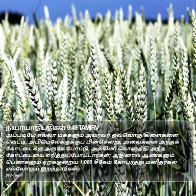 நியாயாதிபதிகள் 9:49 TAMIRV Bible Verse Image