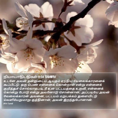 நியாயாதிபதிகள் 9:54 TAMIRV Bible Verse Image