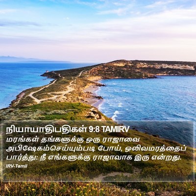 நியாயாதிபதிகள் 9:8 TAMIRV Bible Verse Image