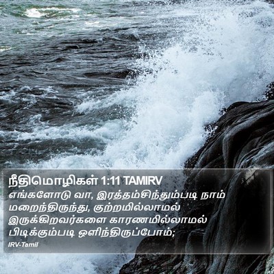 நீதிமொழிகள் 1:11 TAMIRV Bible Verse Image
