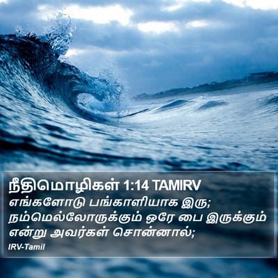 நீதிமொழிகள் 1:14 TAMIRV Bible Verse Image