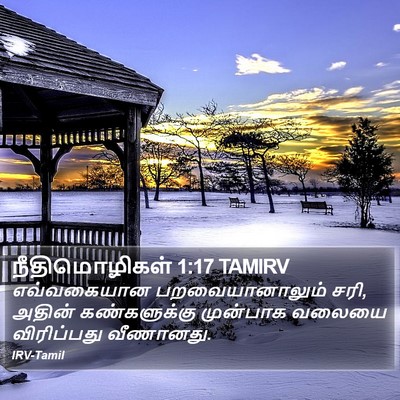 நீதிமொழிகள் 1:17 TAMIRV Bible Verse Image