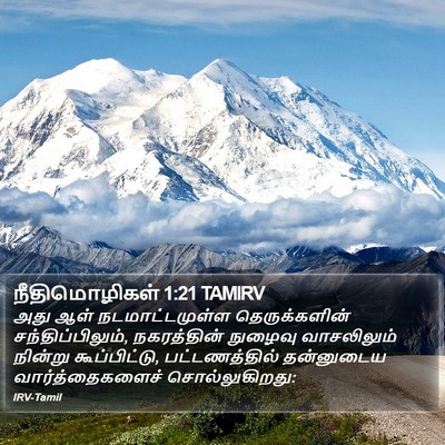 நீதிமொழிகள் 1:21 TAMIRV Bible Verse Image