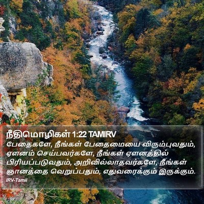 நீதிமொழிகள் 1:22 TAMIRV Bible Verse Image
