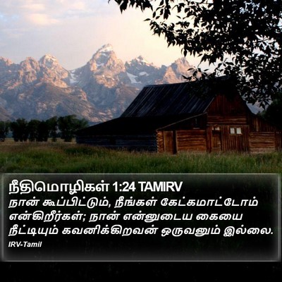 நீதிமொழிகள் 1:24 TAMIRV Bible Verse Image