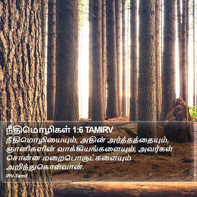 நீதிமொழிகள் 1:6 TAMIRV Bible Verse Image