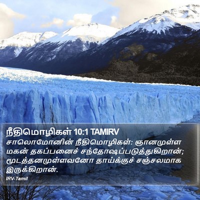 நீதிமொழிகள் 10:1 TAMIRV Bible Verse Image