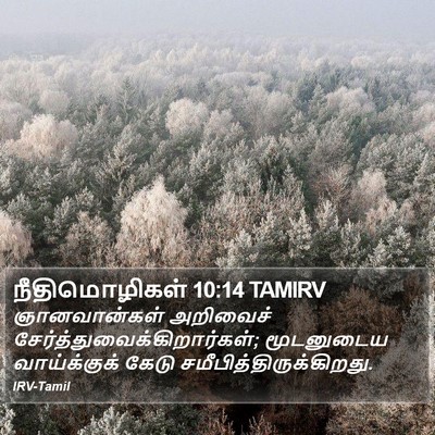 நீதிமொழிகள் 10:14 TAMIRV Bible Verse Image