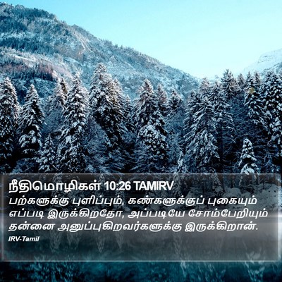 நீதிமொழிகள் 10:26 TAMIRV Bible Verse Image