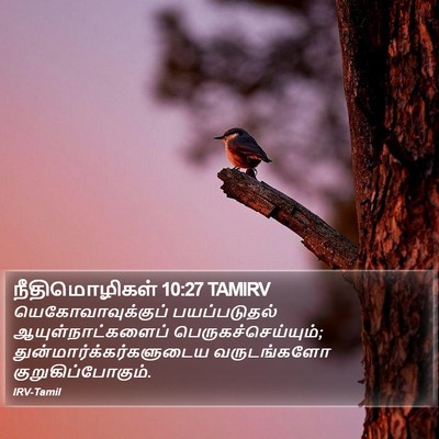 நீதிமொழிகள் 10:27 TAMIRV Bible Verse Image