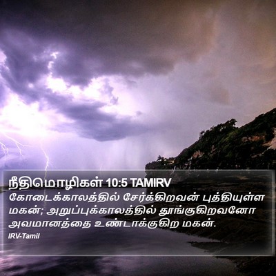 நீதிமொழிகள் 10:5 TAMIRV Bible Verse Image