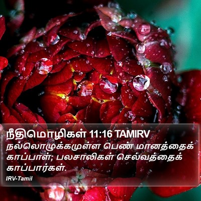 நீதிமொழிகள் 11:16 TAMIRV Bible Verse Image