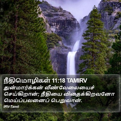 நீதிமொழிகள் 11:18 TAMIRV Bible Verse Image