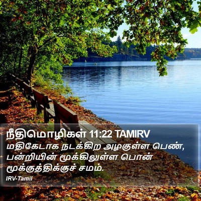நீதிமொழிகள் 11:22 TAMIRV Bible Verse Image